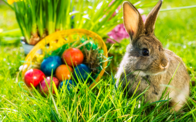 Easter Doesn’t Have To Break The Budget