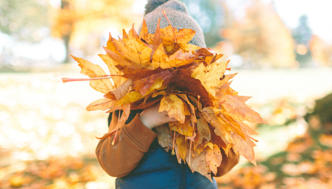 Fall Family Fun Events in Louisville