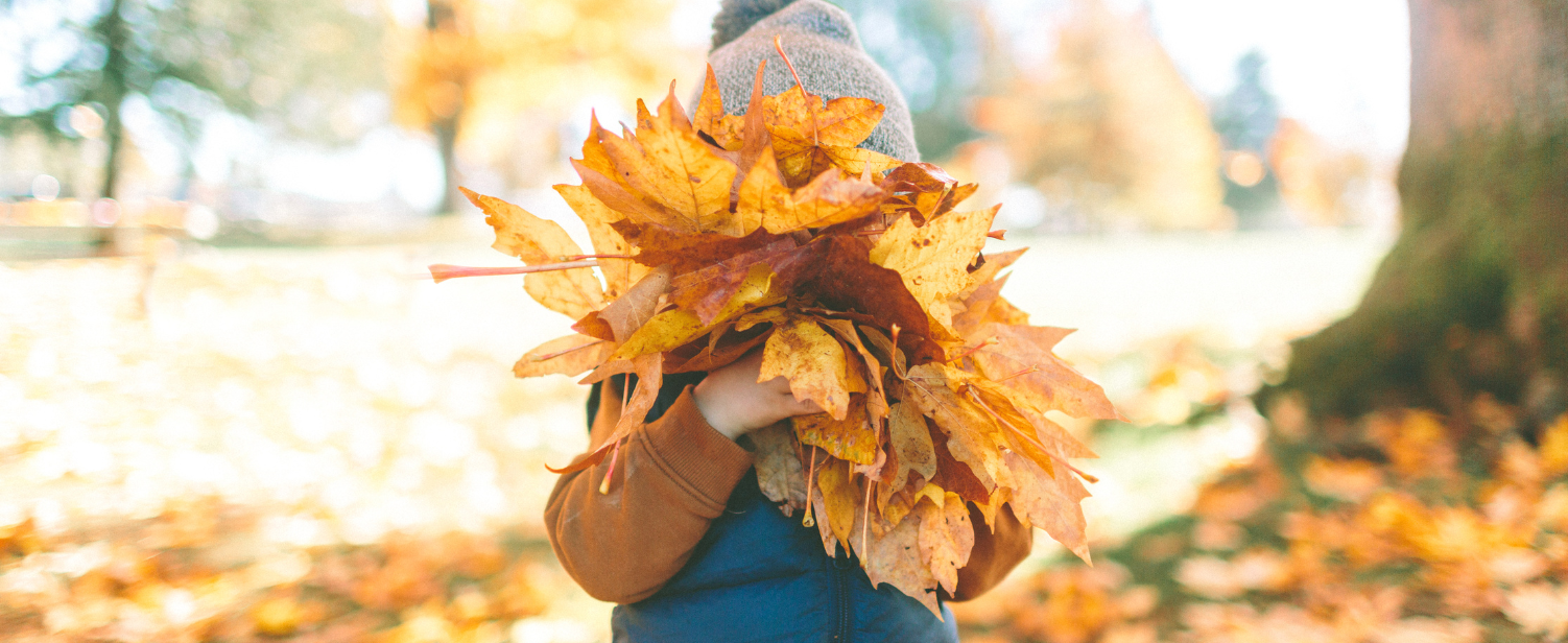 Untitled (1502 × 616 px) (1)