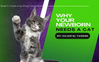 Why your Newborn Baby Needs a Cat