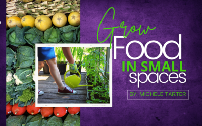 Growing Food in Small Spaces